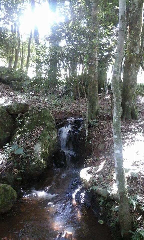 Camping Caitano Hotel Campo Grande  Kültér fotó